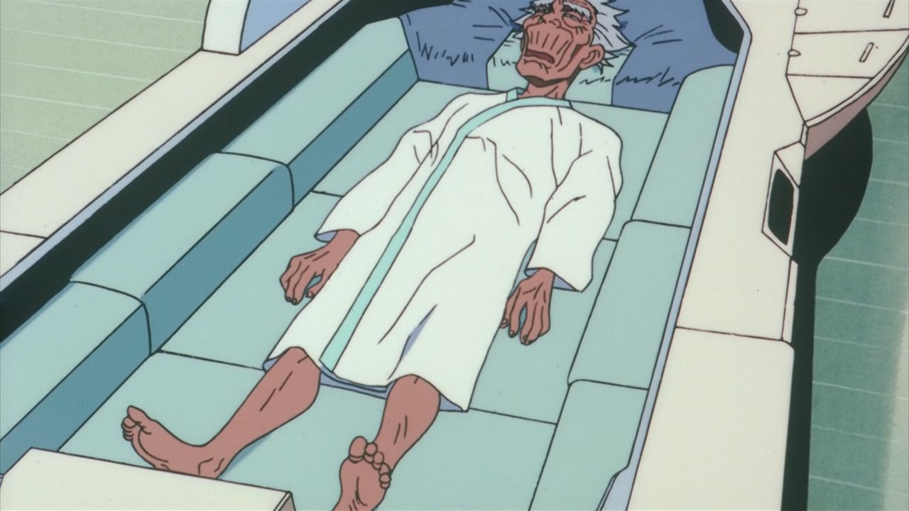 Roujin Z (Anacrónico Fansub)